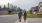 a man and woman walking down a sidewalk in front of houses