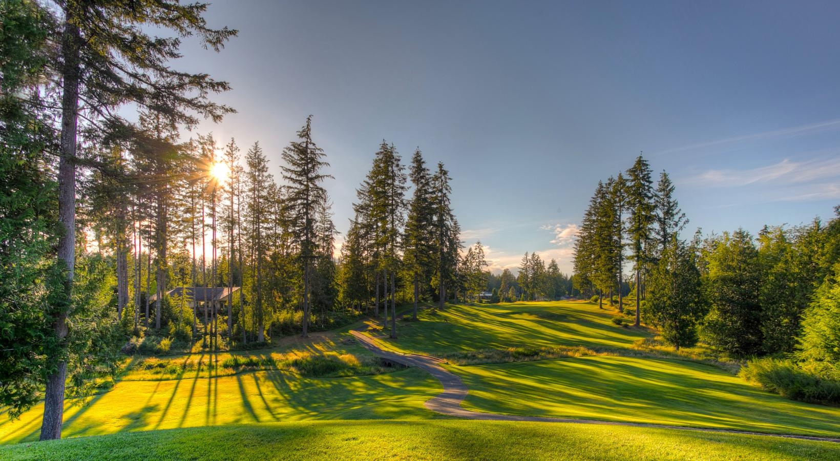 The essence of exceptional living a grassy field with trees and a road with the sun shining through