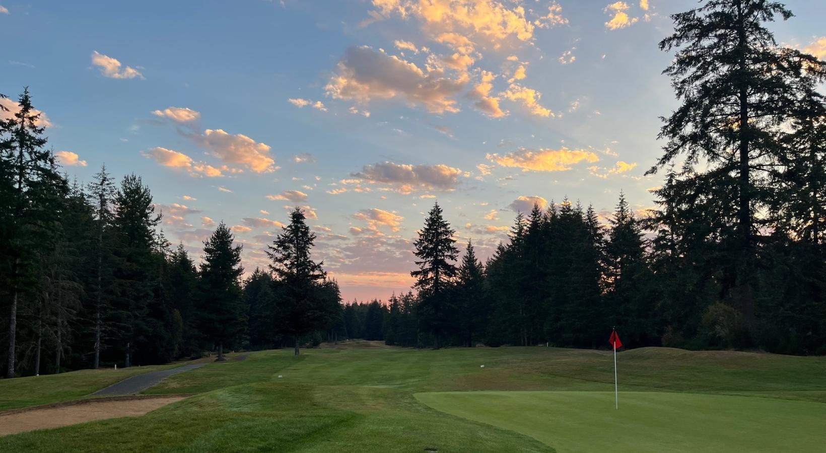 State-of-the-art amenities a golf course with trees and a flag on the side